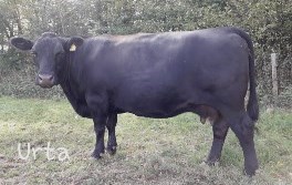 Ulrika
Bild von 2008