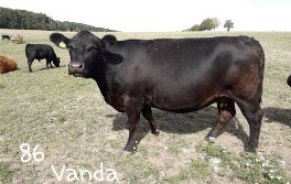 Julia
Bild von 2010