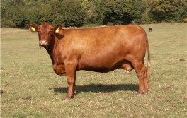 Vinter
Bild von 2011